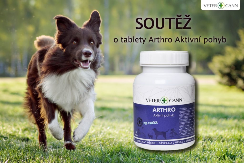 Soutěž o 2 balení Arthro tablet Vetercann Aktivní pohyb