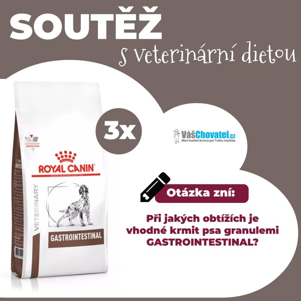 Soutěž o veterinární krmivo pro psy značky Royal Canin